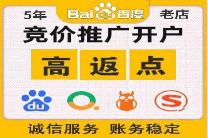 百度竞价排名策略解析：一家公司的广告投放策略全揭秘